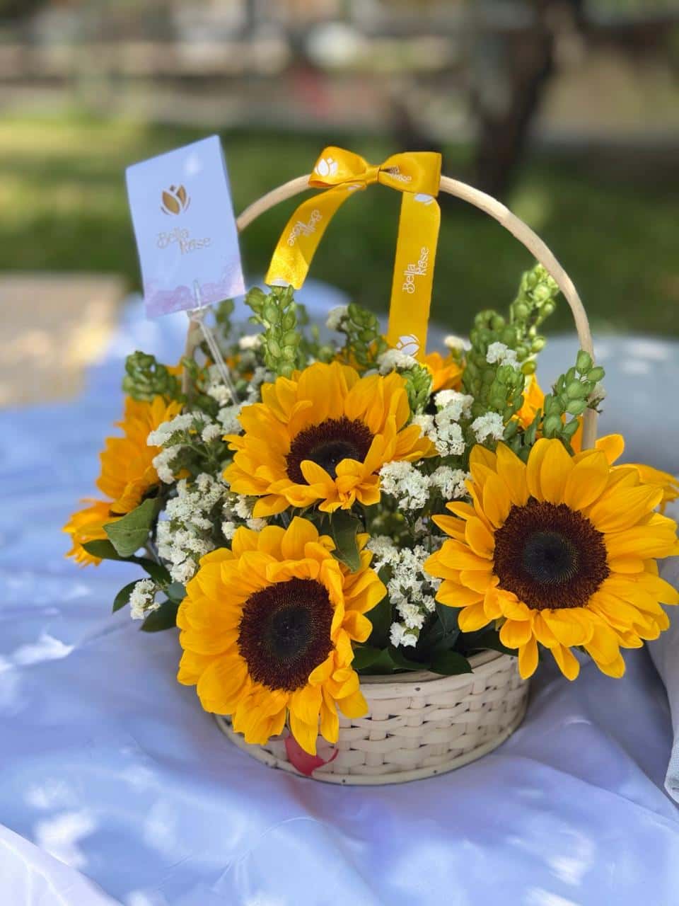 Girasoles