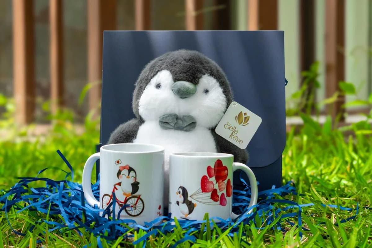 PACKS PINGUI