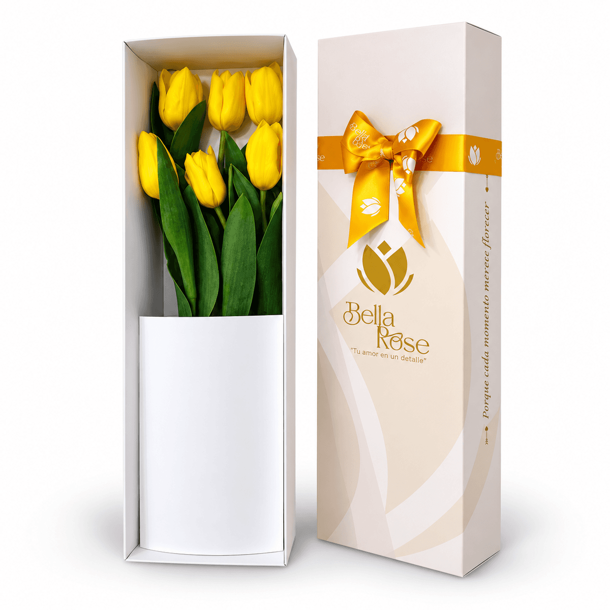 CAJA 6 TULIPANES PREMIUM