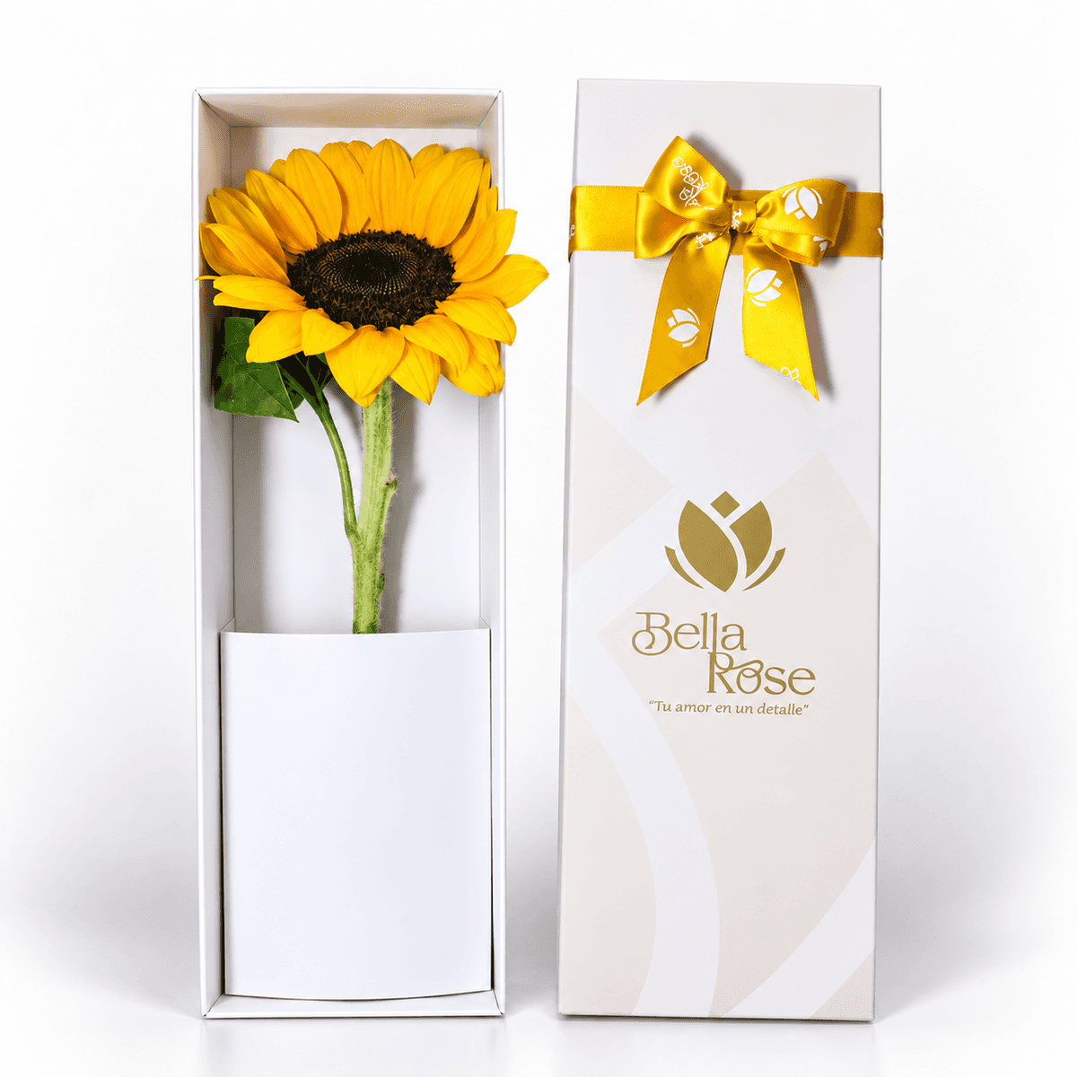 CAJA 1 GIRASOL