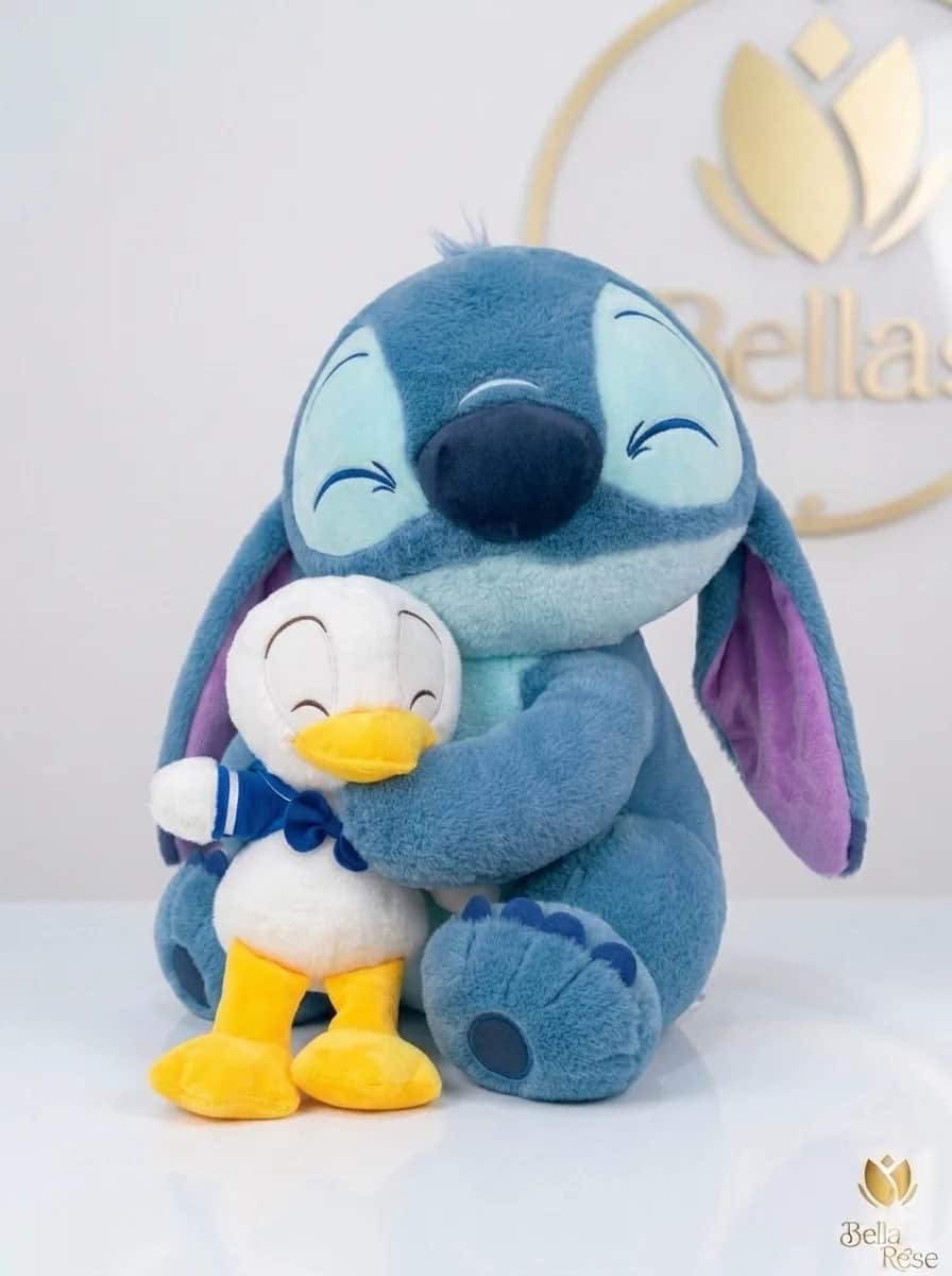 STITC CON PATITO