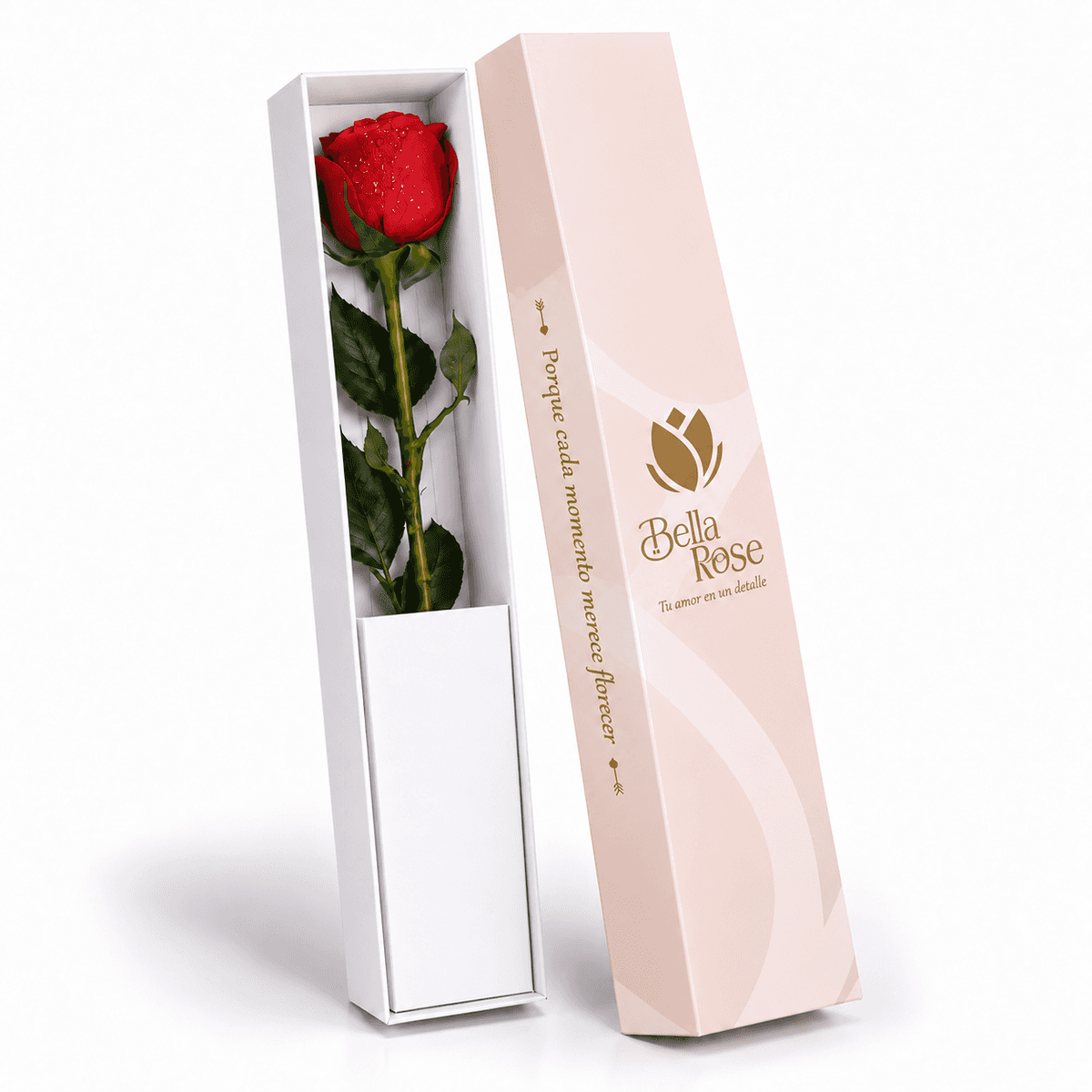 CAJA 1 ROSA PREMIUM