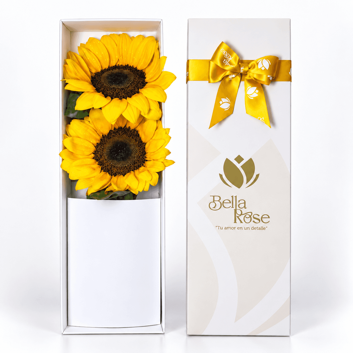 CAJA 2 GIRASOLES
