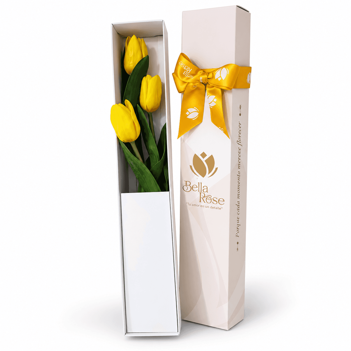 CAJA CON 3 TULIPANES PREMIUM