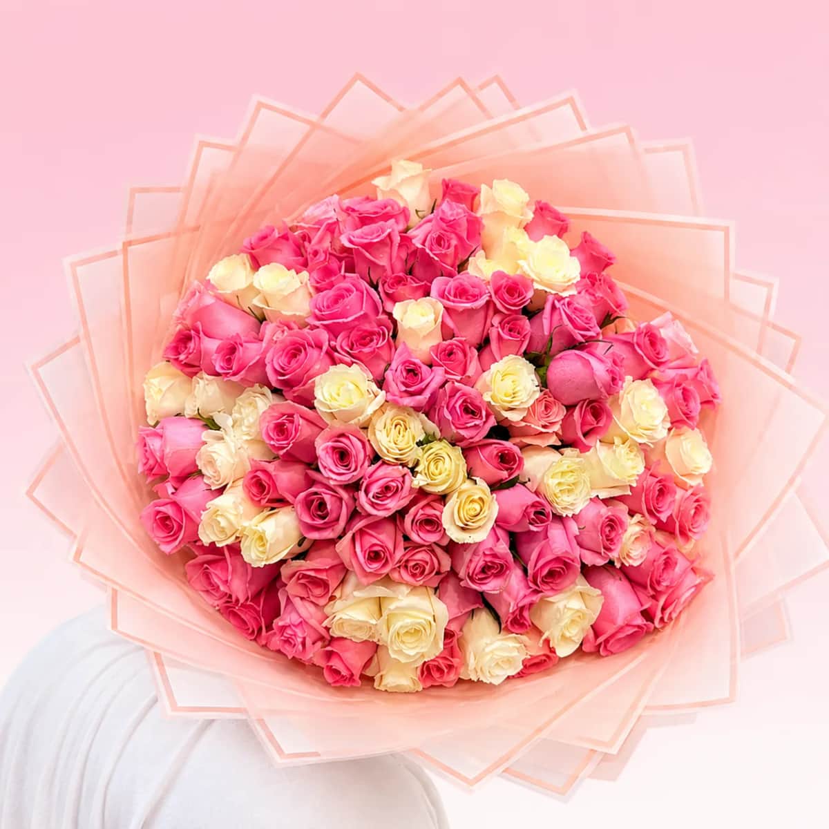 75 ROSAS