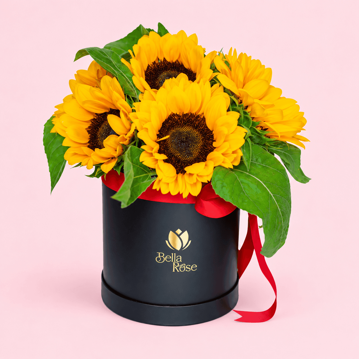 BOX 6 GIRASOLES